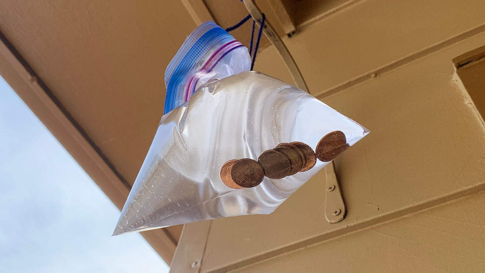 Lifehack: Hang Pennies in a Bag of Water, Here's Why